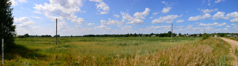 Panoramic view of  Belarus landscape with filds, forest and village.