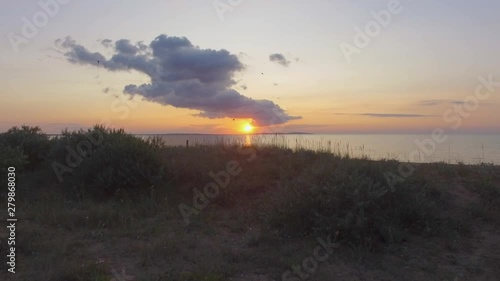 Wallpaper Mural  Silhouettes of plants in steppe near the sea coast at sunset / Golden reflections on sea water surface at sunset Torontodigital.ca