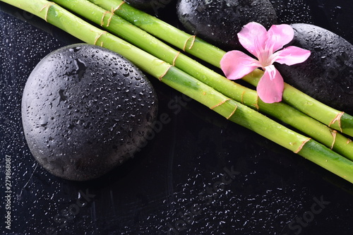 pink flower with black stones and bamboo grove on Wet black background. Spa Concept