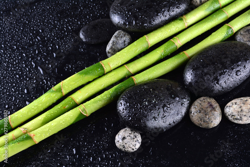 Photography Bamboo grove with black zen stone on the black background