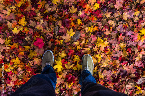 autumn shoes in the park
