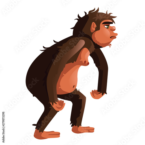 Ancient monkey, human ancestor cartoon vector illustration. Tailless great ape, primates, one of stages in Darwin evolutionary theory, isolated on white background