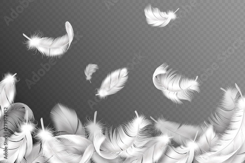 White feathers background. Falling flying fluffy swan, dove or angel wings feather, soft bird plumage. Style flyer vector concept photo