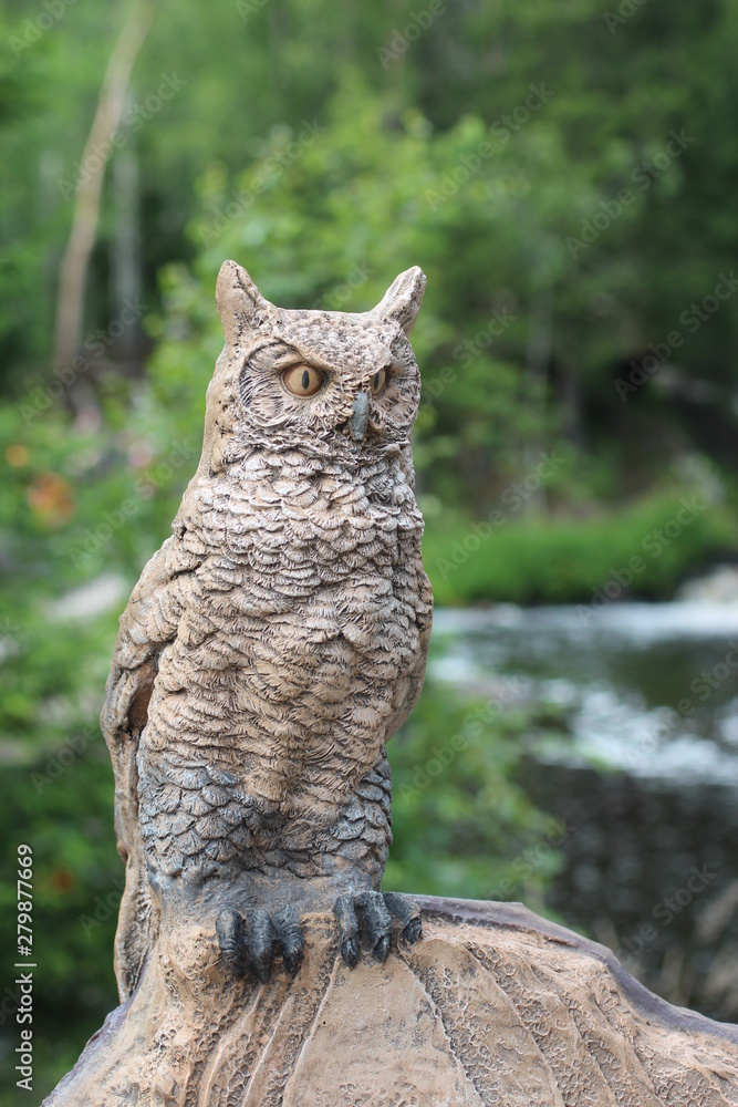 Obraz premium portrait of an owl