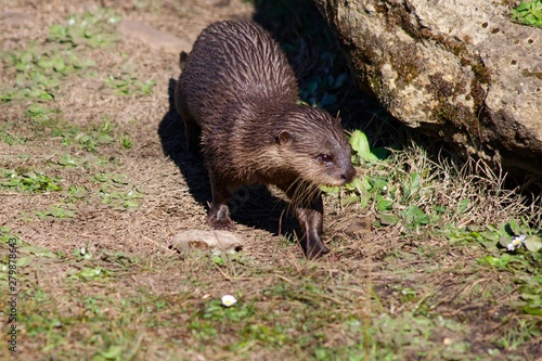 Pictures of animals from the Zoo