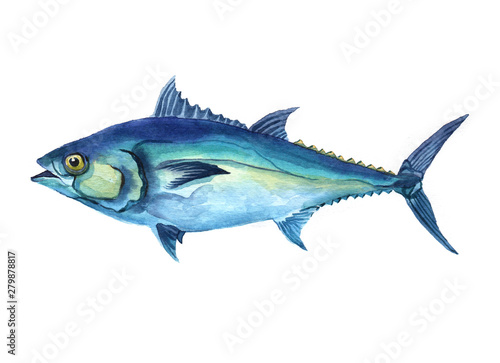 Watercolor Tuna fish isolated on a white background illustration.