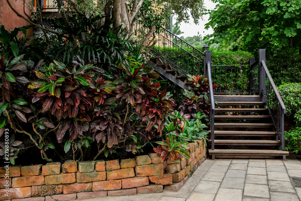Thailand, Artificial, Flooring, Footpath, Grass Thailand, Artificial, Flooring, Footpath, Grass