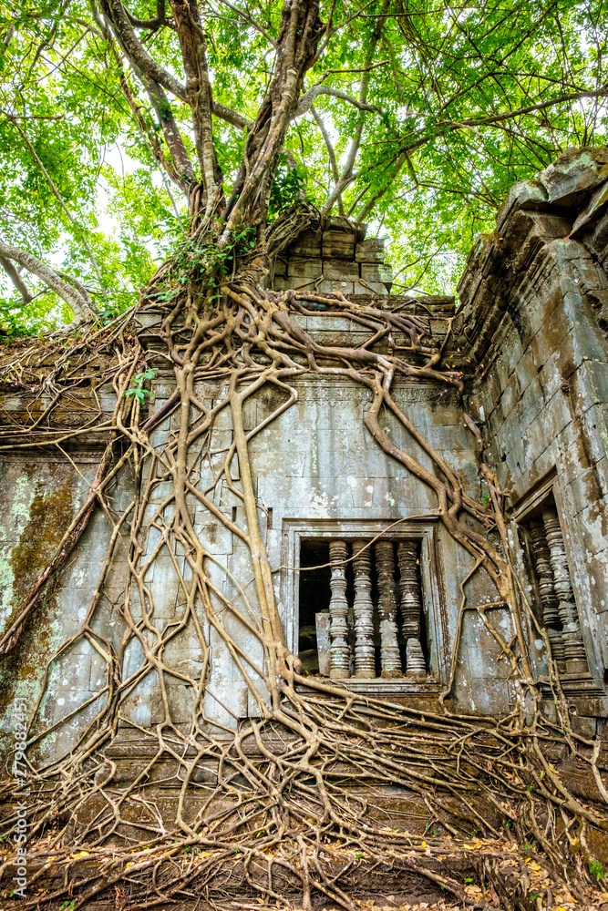 Prasat Beng Mealea temple ruins, Siem Reap Province, Cambodia Prasat Beng Mealea temple ruins, Siem Reap Province, Cambodia