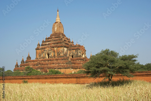 Ruins of the temple area of Bagan  Myanmar  Asia