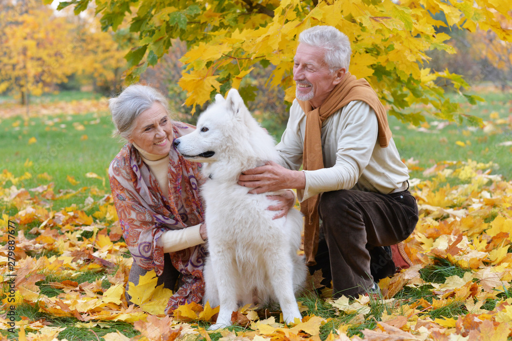 Portrait of happy Senior couple in autumn park Portrait of happy Senior couple in autumn park