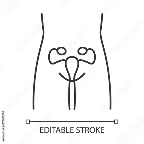 Healthy women reproductive system linear icon. Human organ in good health. Fertility. Wholesome women health. Thin line illustration. Contour symbol. Vector isolated outline drawing. Editable stroke