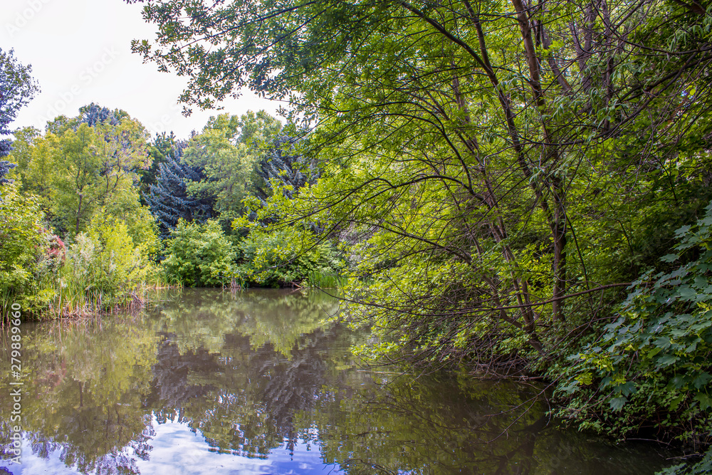 Water and Trees Water and Trees