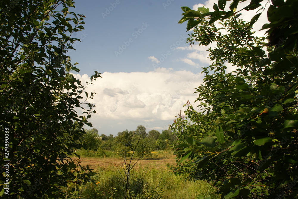 Obraz premium SONY DSC