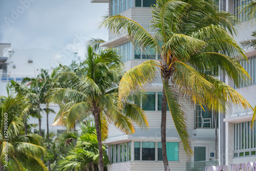 Miami Beach deco architecture and tropical palm tree fronds © Felix Mizioznikov