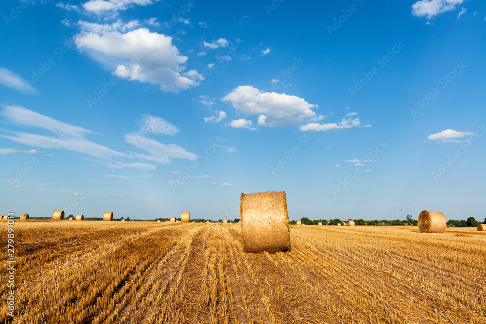 Evening on a field with hay bales