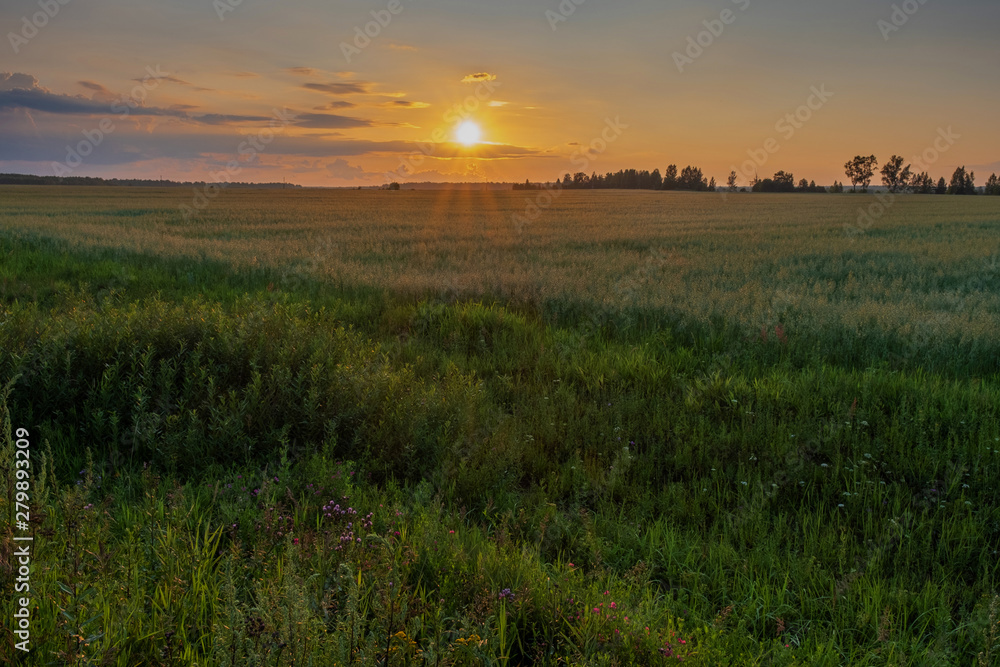 Yellow-orange disk of the setting sun over the horizon and a little cloudy. Yellow-orange disk of the setting sun over the horizon and a little cloudy.