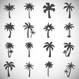 Palm tree related icon set on background for graphic and web design. Simple illustration. Internet concept symbol for website button or mobile app.