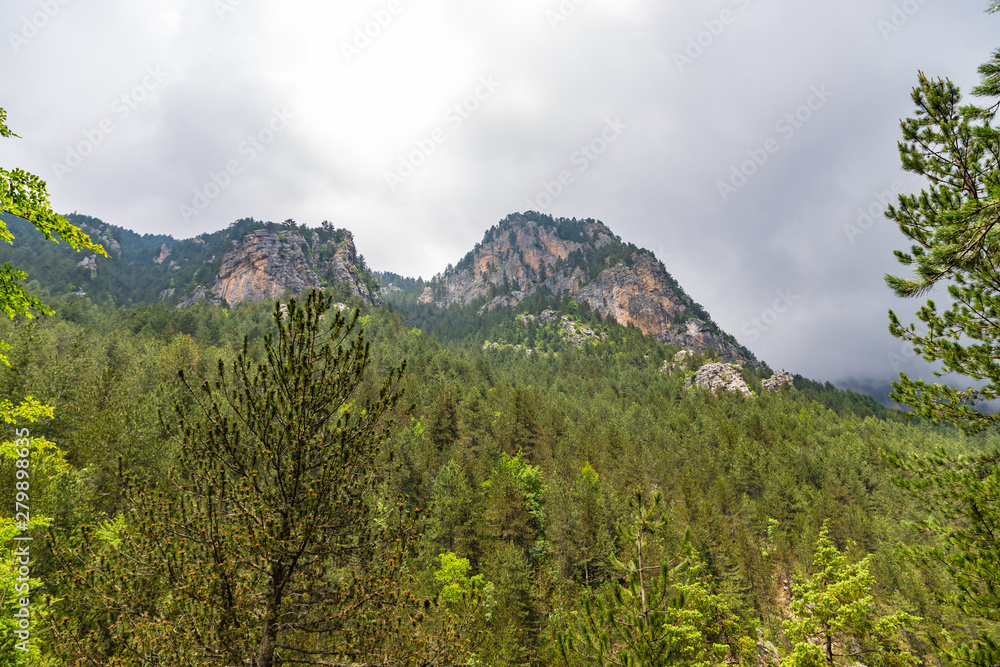 Fototapeta premium Summer landscape, rocky gorge in foothills of Mount Olympus, Greece