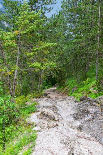 Road to the peak of Olympus mountain. Tracking route for tourists. Greece