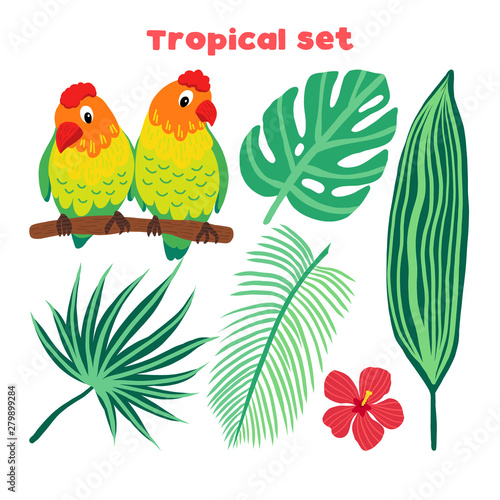 Set of vector tropical birds and leaves. Exotic parrot: lovebirds and plants: monstera, hibiscus, palm. Illustration in flat style.