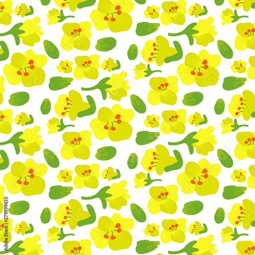 Vector editable EPS 10 file. Rapeseed flower pattern, rapeseed buds, rapeseed inflorescences, white backing. Floral background. Yellow and mustard colors
