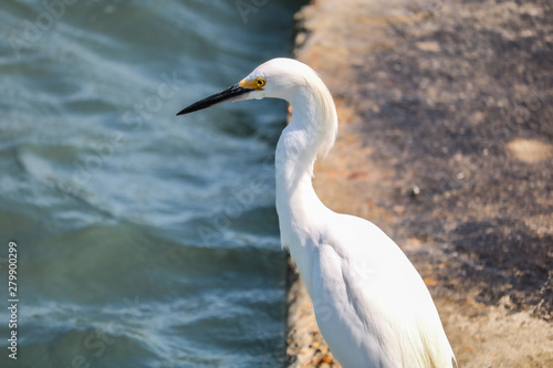 Where's the fish, i seen him a second ago © steven