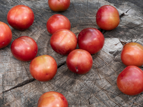 Maroon plums on the stump. Plums scattered. Close-up. Still life.