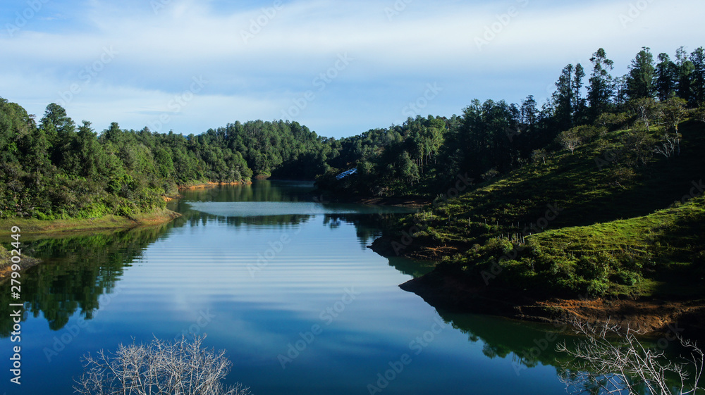 Lake and woods