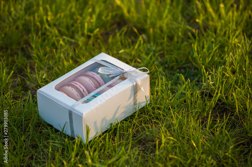 Cardboard white gift box with colorful handmade macaron cookies on green grass lawn background.