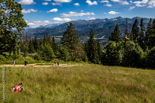 landscape in the mountains