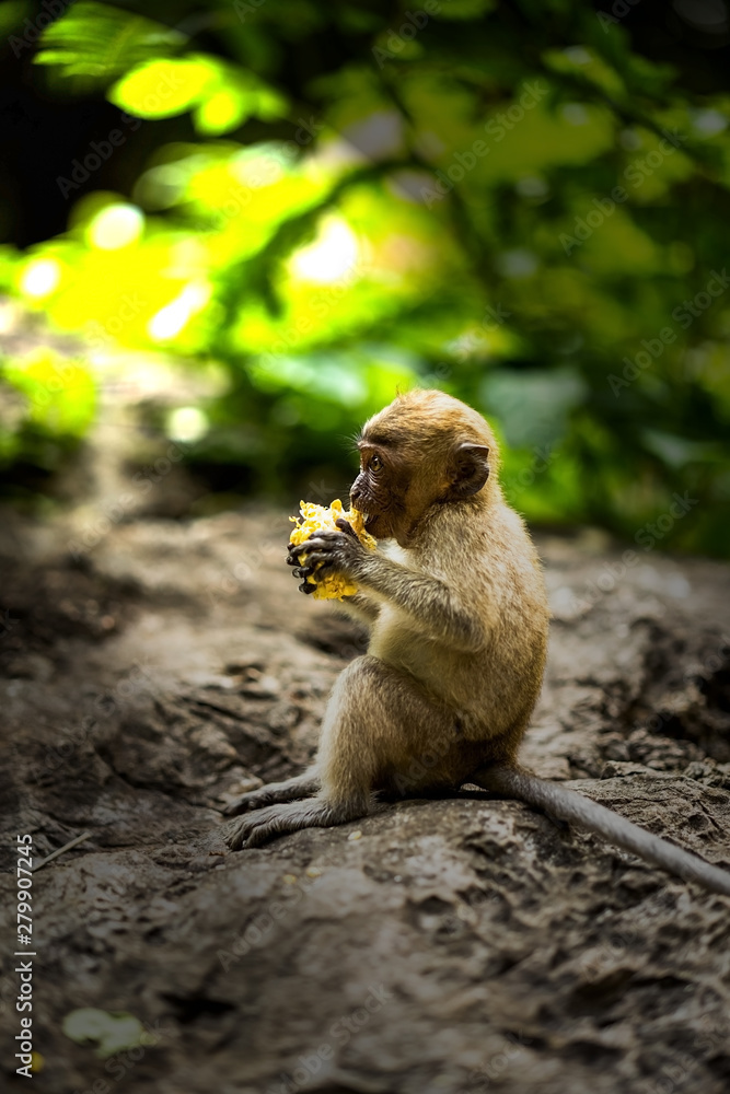 Obraz premium Einsam 