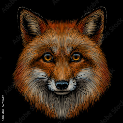  Fox. Graphic color portrait of a  Fox's head on a black background.