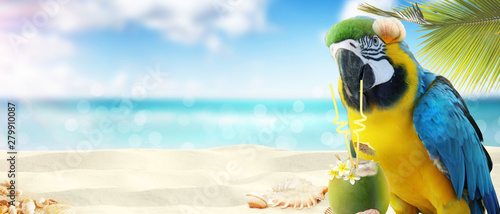 Papagei mit Cocktail im Urlaub am Strand