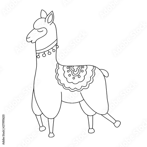 Vector illustration of cute cartoon llama