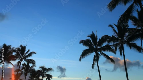 Zoom out of palm trees and Mokolii at sunrise, Hawaii photo