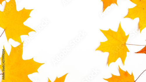 Autumn composition  maple leaves  top view  flat lay. Autumn  fall  halloween concept