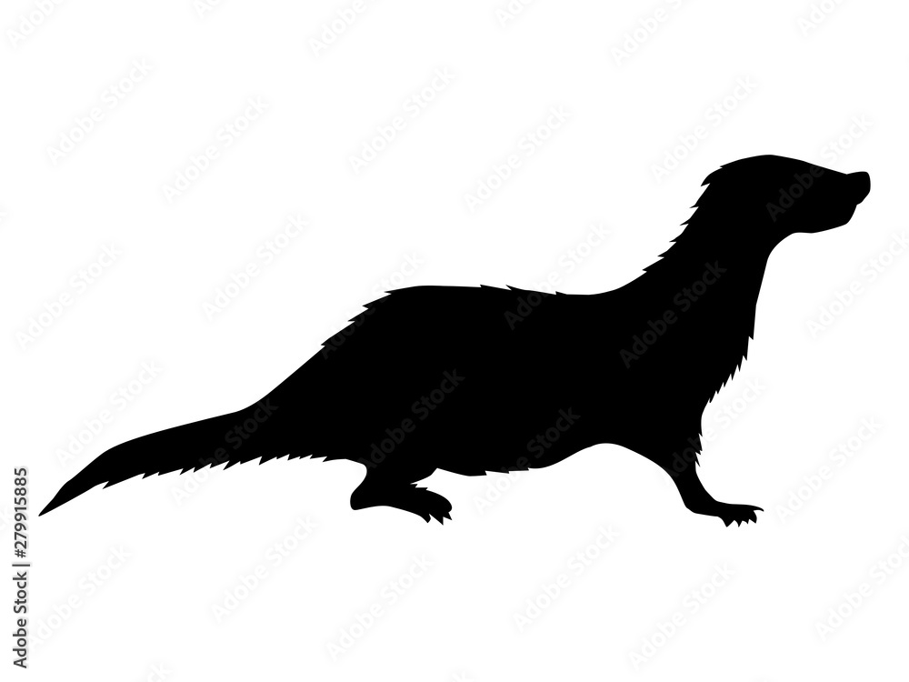 silhouette of otter