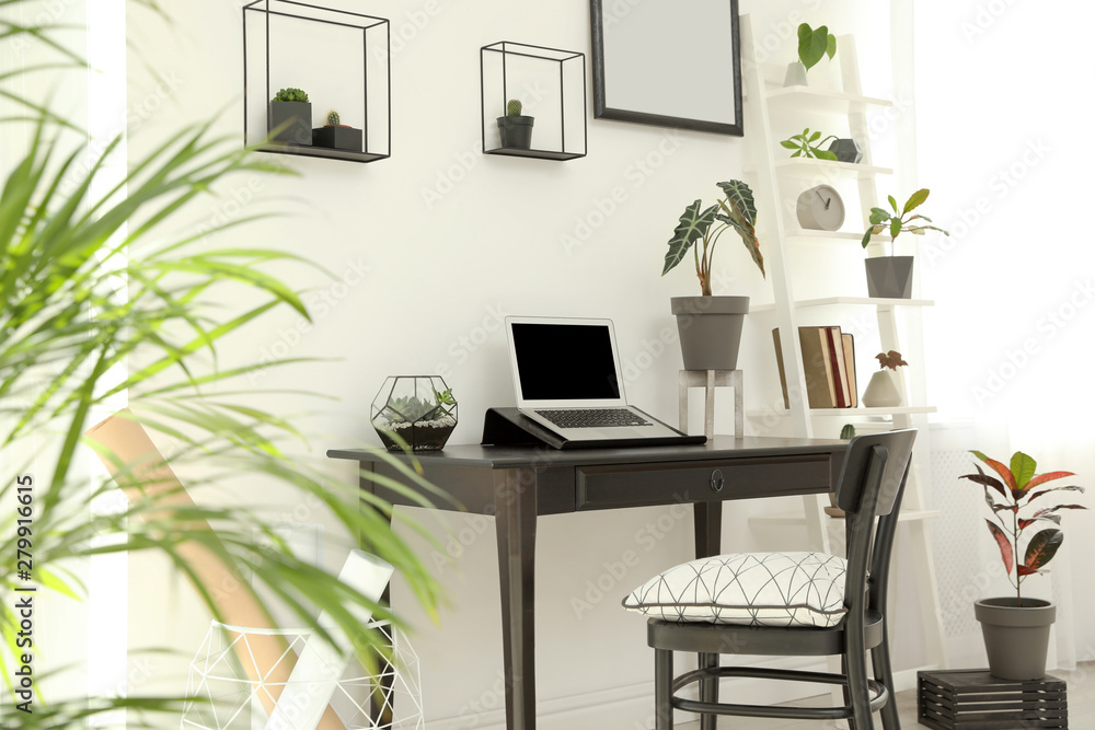 Fototapeta premium Trendy room interior with different home plants and laptop on table. Space for text