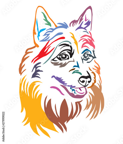 Fotografie Colorful decorative portrait of Australian Terrier vector illustration