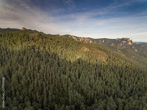 Naklejka Aereal forest 