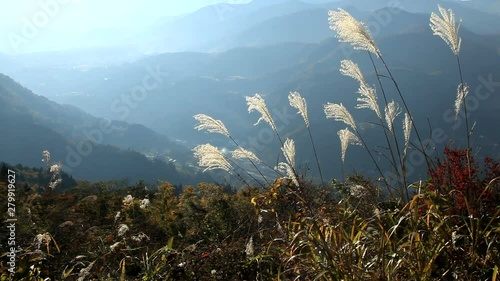 Grass swaying in wind with mountains in background photo