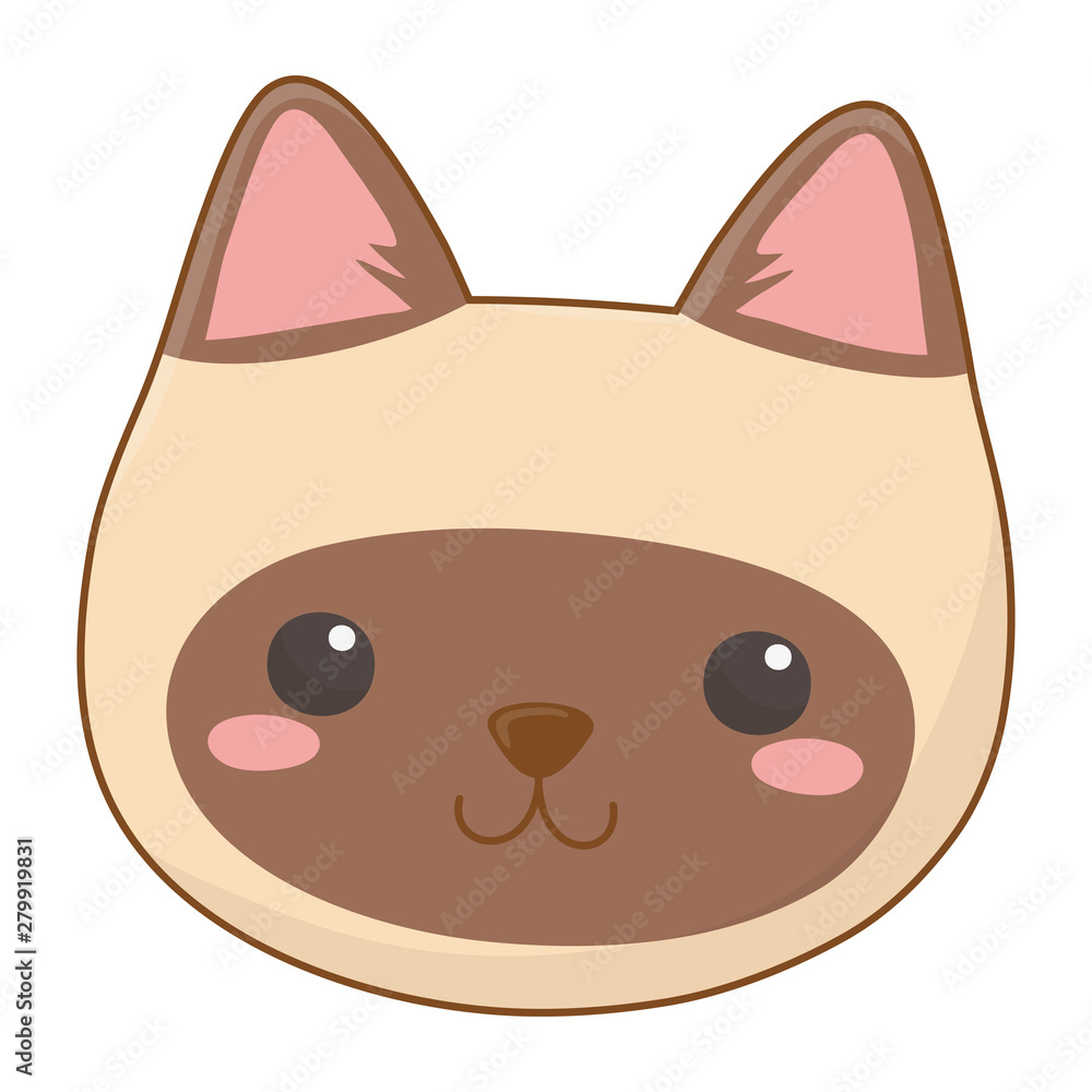 Isolated cat cartoon design vector illustrator Isolated cat cartoon design vector illustrator
