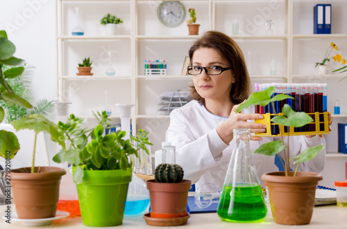 Old female biotechnology chemist working in the lab
