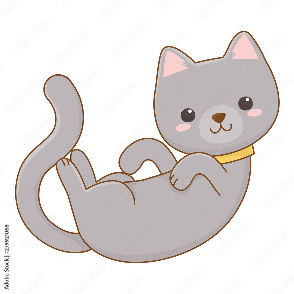Isolated cat cartoon design vector illustrator Isolated cat cartoon design vector illustrator
