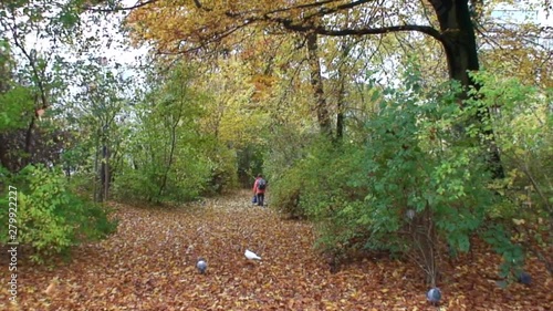 Boy Walking Through Falling Leaves