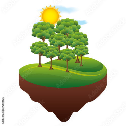 forest trees sun ecology landscape