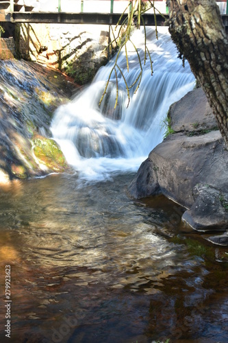 waterfall in forest