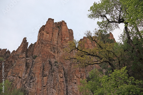 The canyon walls above Middle Fork Gila River, in the Gila National Forest, New Mexico.