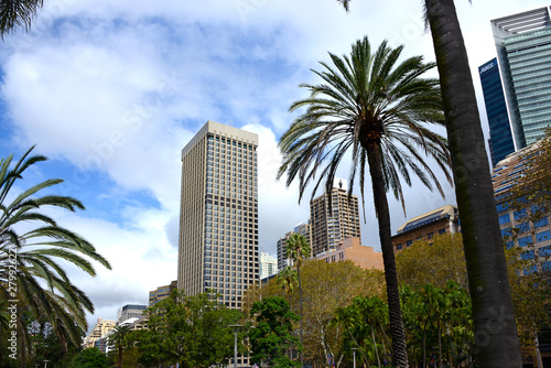 view to Sydney skyline from botanical garden © mikesch112