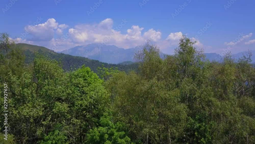 Drone flying over green trees overlooking mountain peaks and hills covered with forest. Aerial view of mountain valley, sunny day Drone flying over green trees overlooking mountain peaks and hills covered with forest. Aerial view of mountain valley, sunny day